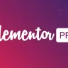 Elementor Pro pro